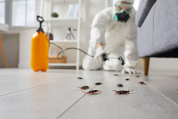 Commercial Kitchen Cockroach Control in Crompond